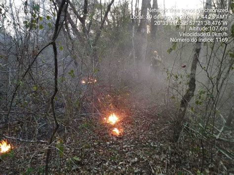 Com quase 2,5 milhões de hectares queimados, bombeiros de .